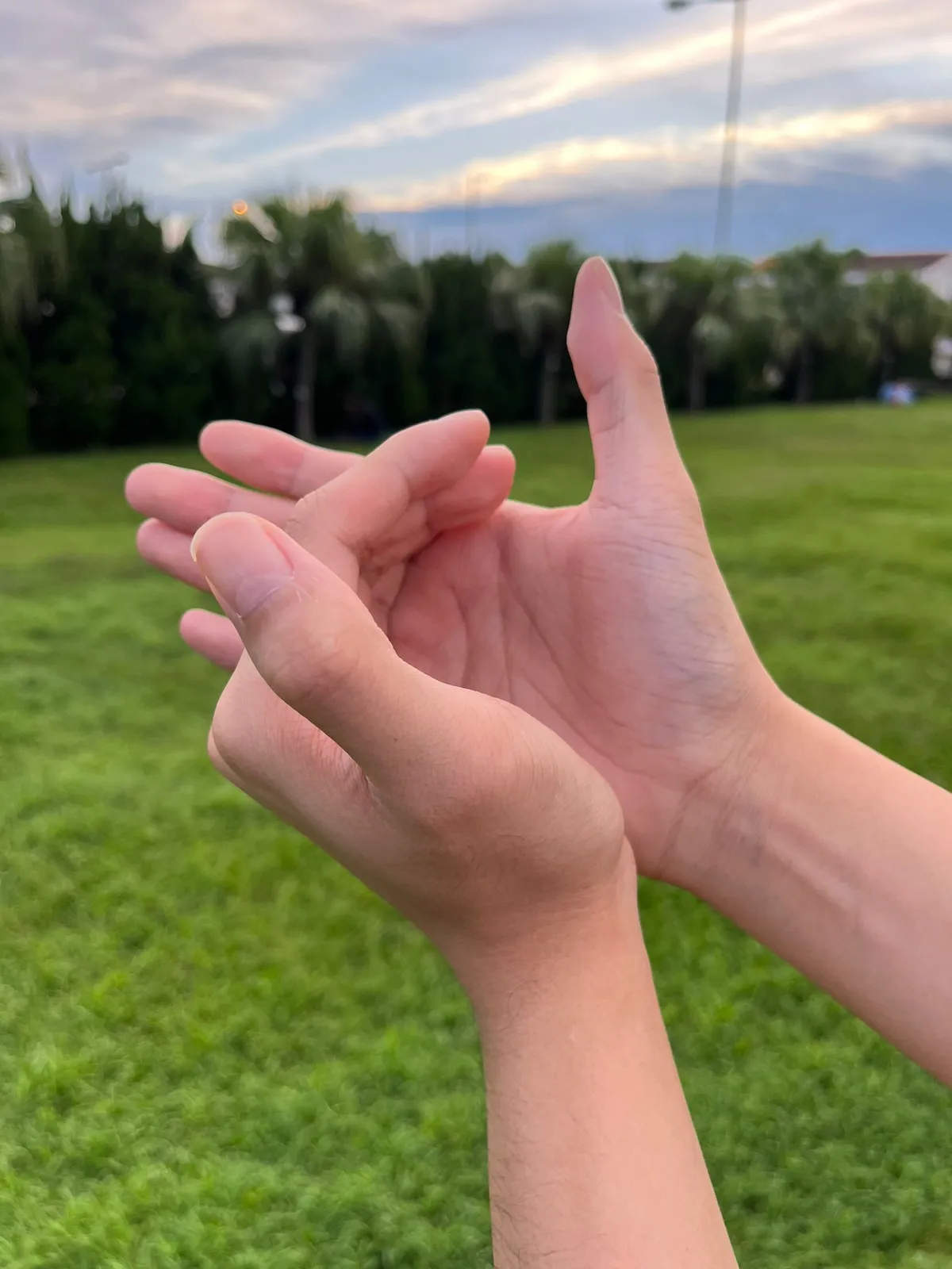 為什麼學手笛？零成本入門的綠色音樂選擇